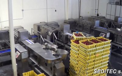 En mayo de 2017 se entregó la primera línea automatizada para el desrabado de fresas vendida en Estados Unidos.